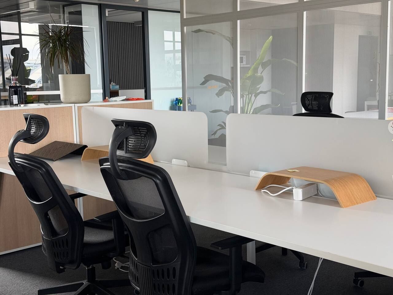 Open space with white desks, partitions, plants and glass walls